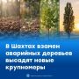 ������� ��� ������ ��� ��������: � ������ ������ ��������� ������ �������� ������� �����