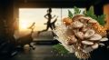 Грибы: незаменимый источник энергии для активных людей