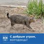 Доброе утро!. Утро среды обещает быть ярким! Желаем вам бодрости духа, отличного настроения и успехов во всех делах