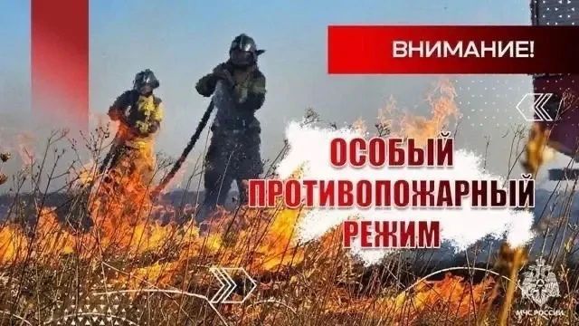 Донское МЧС напоминает, в регионе действует особый противопожарный режим