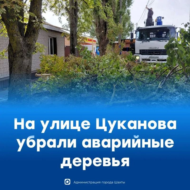 В Шахтах на улице Цуканова спилили аварийные деревья В Шахтах на улице Цуканова спилили аварийные деревья
