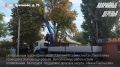 В Шахтах на улице Цуканова спилили аварийные деревья