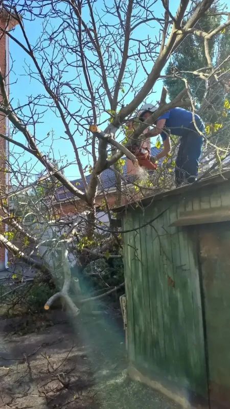 За неделю спасатели МБУ «Защита» выполнили 96 выездов За неделю спасатели МБУ «Защита» выполнили 96 выездов
