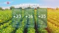 Без осадков и до + 40 °С: какая погода ждёт дончан сегодня?