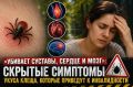 «Убивает суставы, сердце и мозг»: скрытые симптомы укуса клеща, которые могут привести к инвалидности