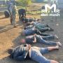 Воры угнали 59 коров и быков с пастбищ в Ростовской и соседних областях