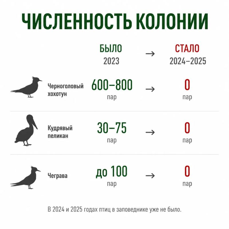 Крупнейшая колония краснокнижных птиц исчезла из заповедника «Ростовский» Крупнейшая колония краснокнижных птиц исчезла из заповедника «Ростовский»