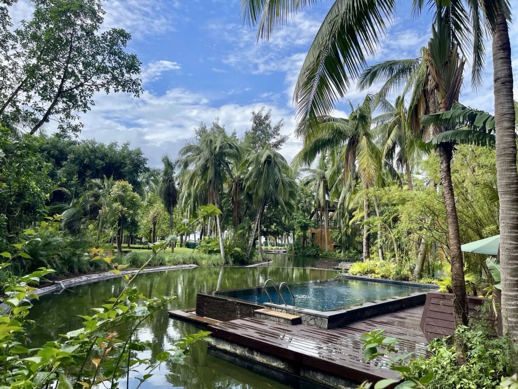 Как избежать отпускных мошенничеств: советы для беззаботного отдыха
