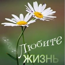 Ценности в жизни: как удачно избавиться от зависимостей