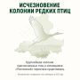 Крупнейшая колония краснокнижных птиц исчезла из заповедника «Ростовский»