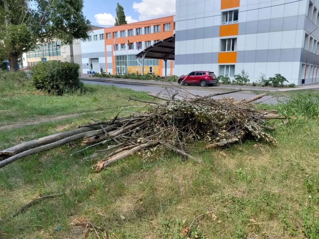 В Шахтах продолжается областной субботник В Шахтах продолжается областной субботник