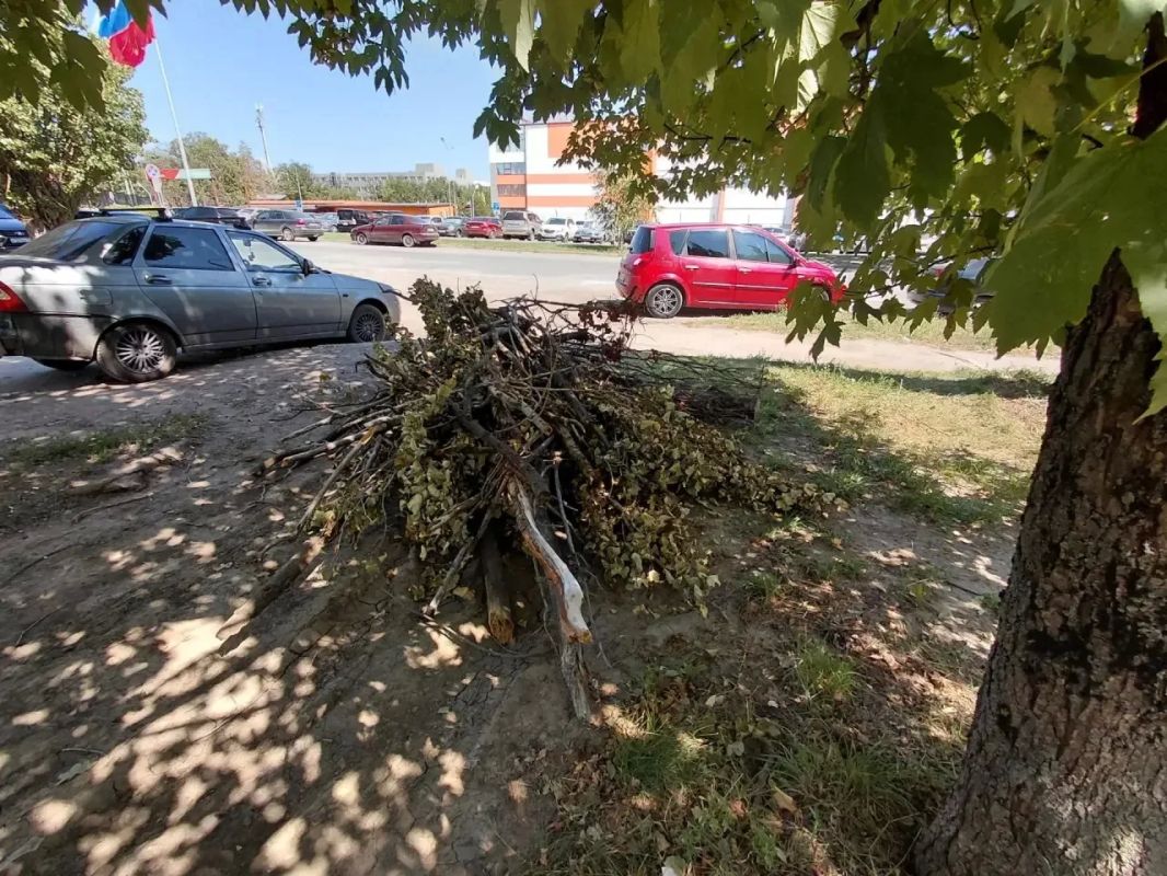 В Шахтах продолжается областной субботник В Шахтах продолжается областной субботник