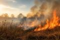 В Батайске ожидается высокая пожароопасность