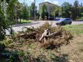 В Шахтах продолжается областной субботник