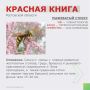 Рубрика «Красная книга Ростовской области»!