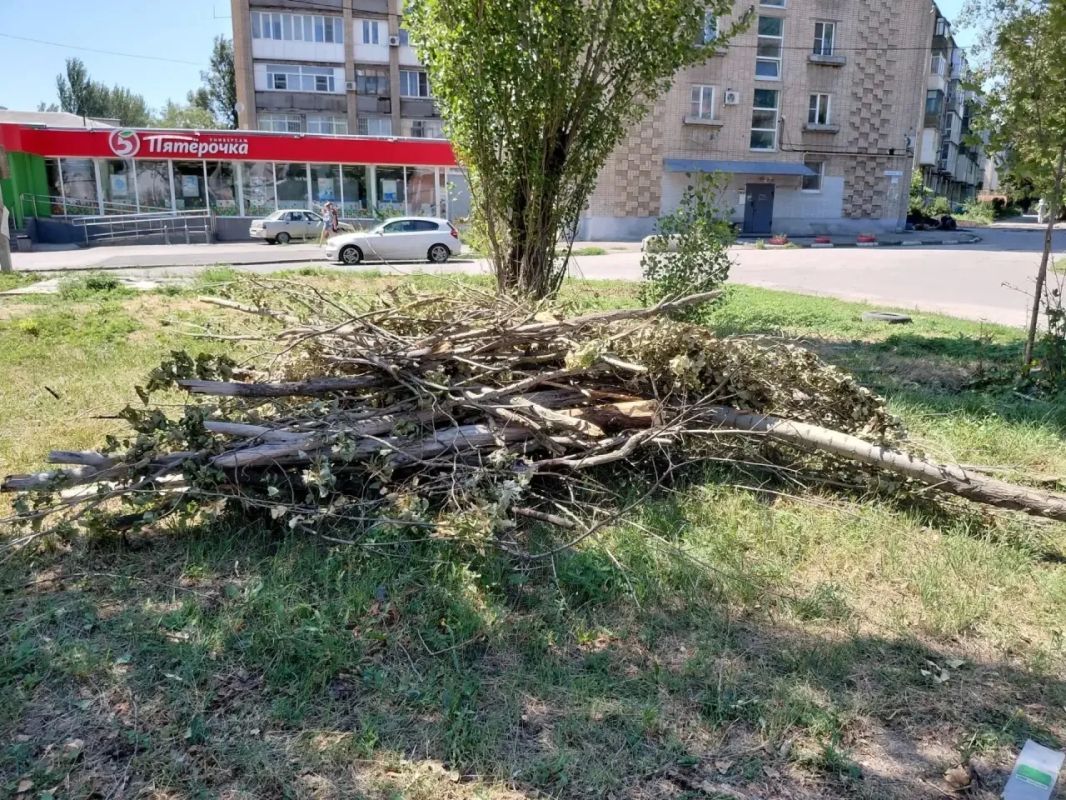 В Шахтах продолжается областной субботник В Шахтах продолжается областной субботник