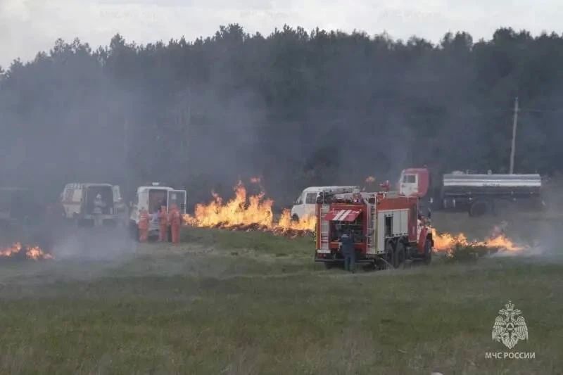 На Дону за год число лесных пожаров выросло почти на треть