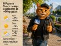 В воскресенье, 9 августа, в Ростове-на-Дону сохранится жаркая погода