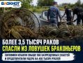 Одну из крупных партий запрещенных орудий лова обнаружили на Маныче в Веселовском водохранилище
