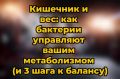 Кишечные бактерии и контроль веса