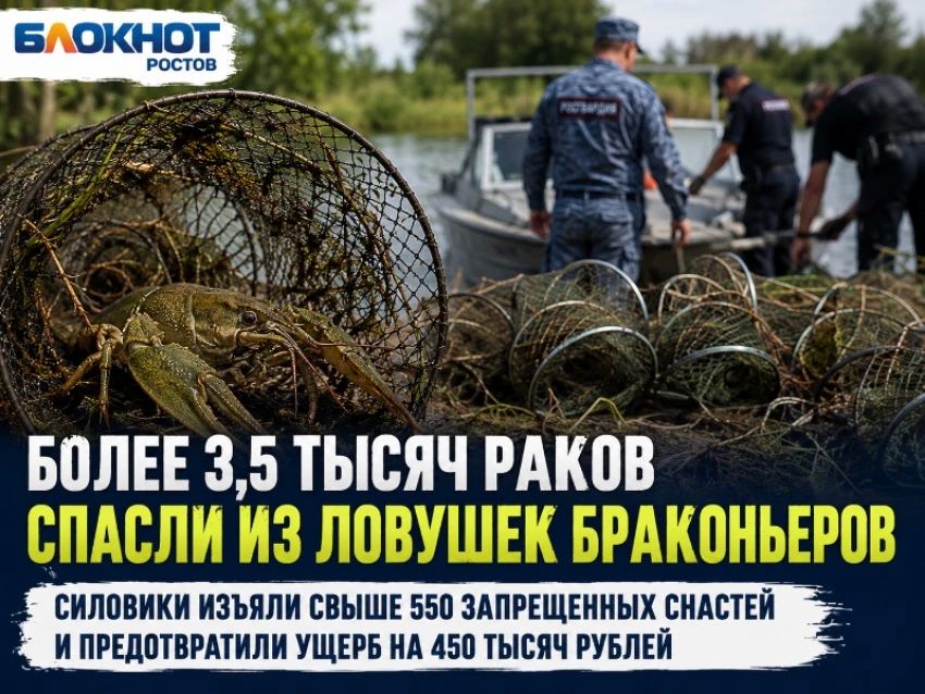 Одну из крупных партий запрещенных орудий лова обнаружили на Маныче в Веселовском водохранилище