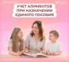 Как считаются алименты при назначении единого пособия