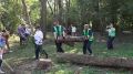 С последствиями шторма в Ростове боролись на субботнике