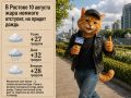 В Ростове 10 августа жара немного отступит, но придет дождь