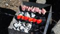В Перми запрещены шашлыки в общественных местах на майские праздники