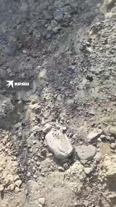 Жители Мясникована просят отремонтировать дорогу на Южной