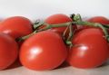 Маринованные помидоры под снежным покровом: легкий рецепт для настоящих гурманов