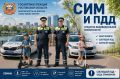За отчетный период отмечается рост аварийности с участием лиц, использующих для передвижениям средства индивидуальной мобильности