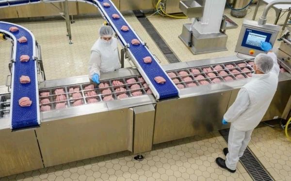 На модернизацию донской компании «Индюшкин двор» направят 1 млрд рублей