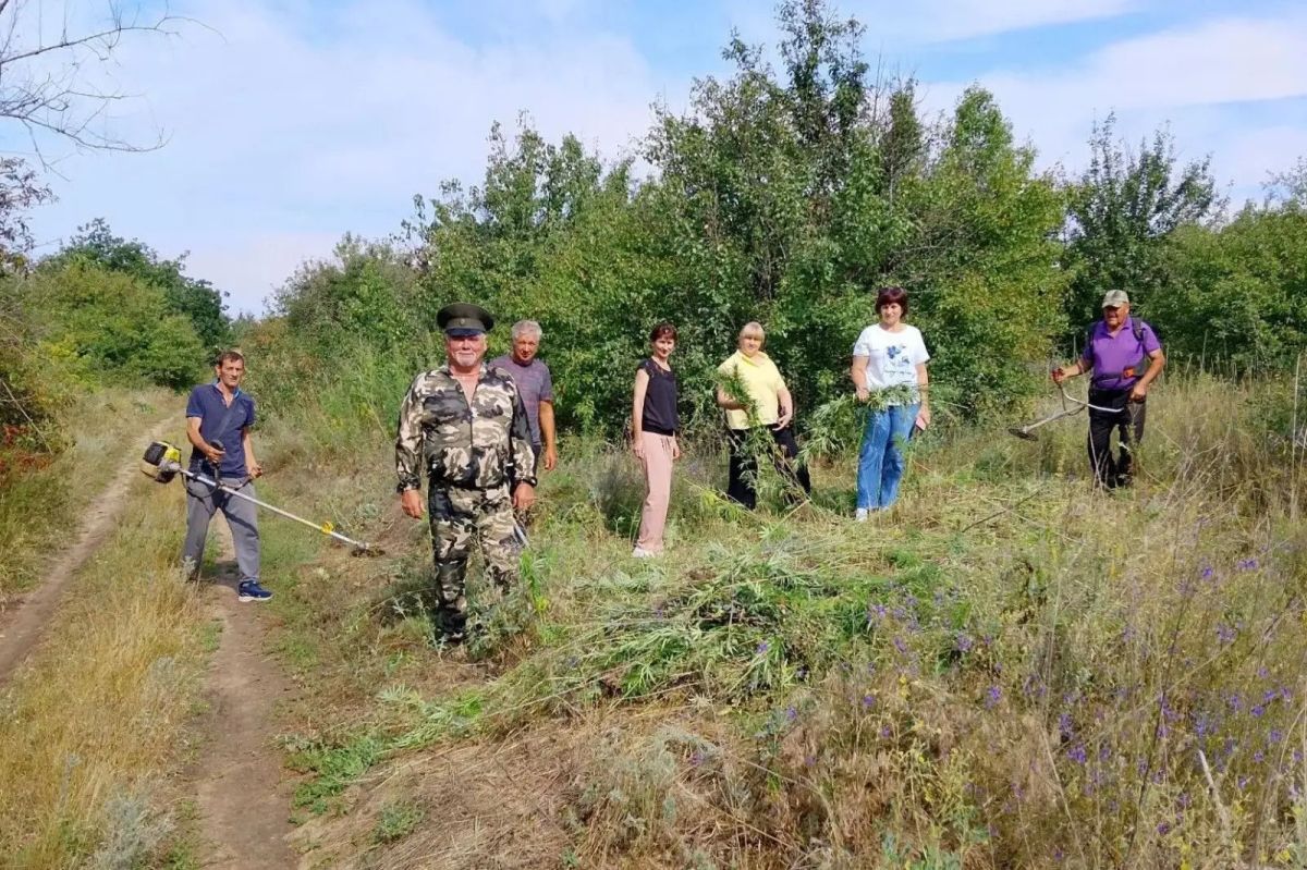 Подведены итоги второго этапа единого дня борьбы с дикорастущей коноплей Подведены итоги второго этапа единого дня борьбы с дикорастущей коноплей