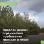 До 3 сентября продлен режим ограничения пребывания граждан в лесах в связи с пожароопасной обстановкой