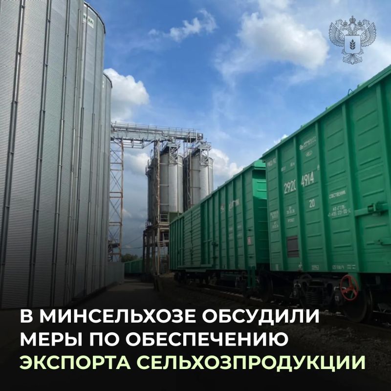 Оксана Лут провела совещание по вопросам реализации зерна и формирования альтернативных логистических маршрутов для экспорта сельхозпродукции