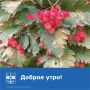 Доброе утро!. Желаем продуктивного дня и хороших новостей