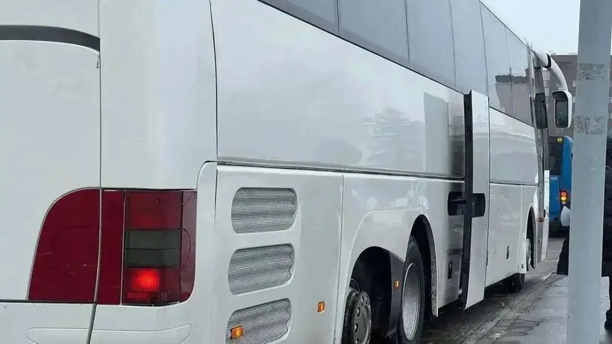 Начались пассажирские перевозки по новому маршруту между Ростовом-на-Дону и Мариуполем