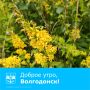 С добрым утром, волгодонцы