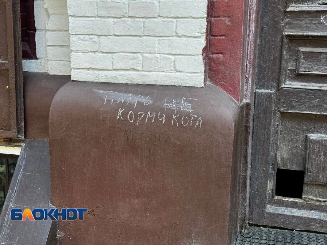 А кот-то явно правил не читал А кот-то явно правил не читал