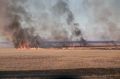 Крупный ландшафтный пожар полыхает около станицы в Ростовской области