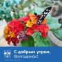 Доброе утро пятницы.. Желаем хорошего дня и прекрасных выходных в кругу семьи! Присылайте красивые фотографии на почту adm_press