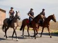 В Мясниковском районе состоялась проверка работы кавалерийского взвода, территориального ОВД и прием граждан