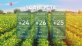 Без осадков и до + 27 °С: какая погода ждёт дончан сегодня?