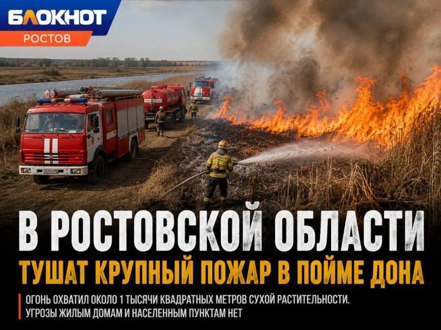 В Ростовской области потушили крупный пожар в пойме Дона