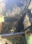 Неудачно покурил …. В Волгодонске загорелось на лестничной клетке девятиэтажки