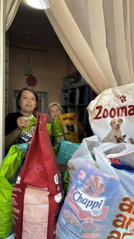 «Город добра: итоги благотворительного сбора корма в Шахтах» «Город добра: итоги благотворительного сбора корма в Шахтах»
