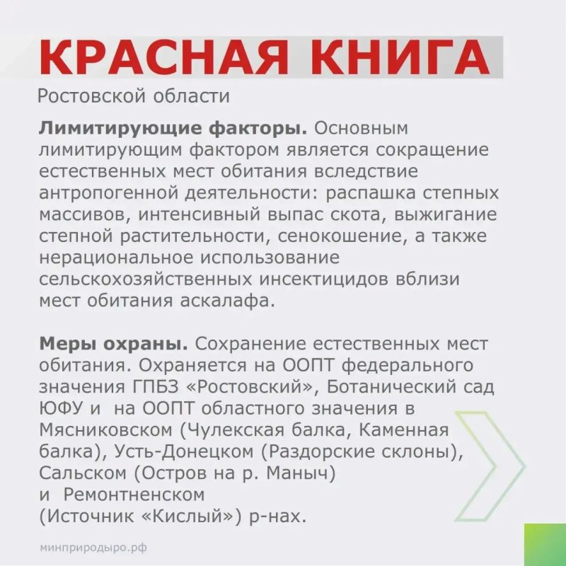 Рубрика «Красная книга Ростовской области»! Рубрика «Красная книга Ростовской области»!