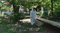 Число пострадавших от укусов клещей вдвое снизилось в Ростовской области