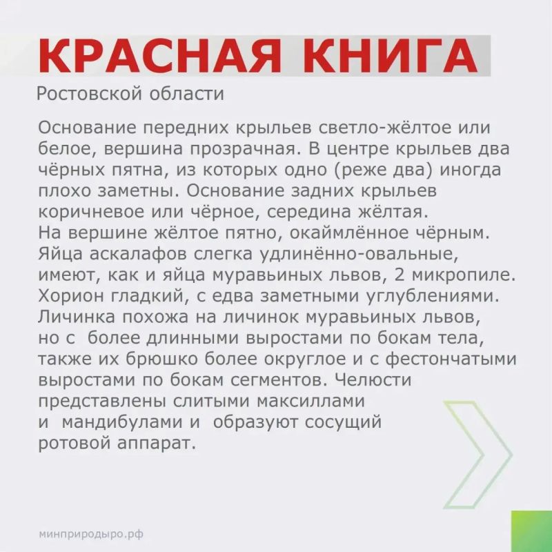 Рубрика «Красная книга Ростовской области»! Рубрика «Красная книга Ростовской области»!